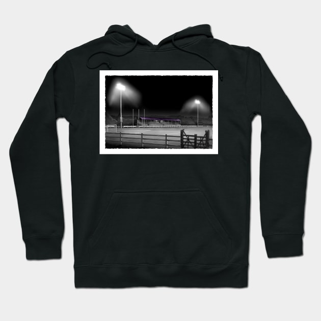 Ferrycarrig Park - Wexford FC League of Ireland Football Artwork Hoodie by barrymasterson